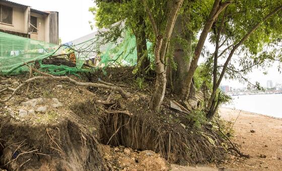 In Tanzania, the sea is moving inland – and taking livelihoods with it